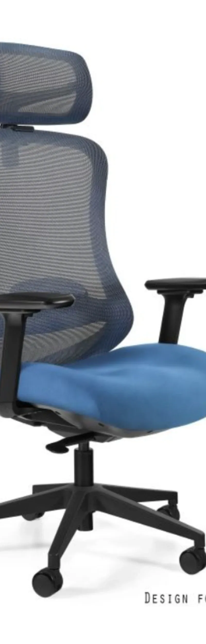 Adapta