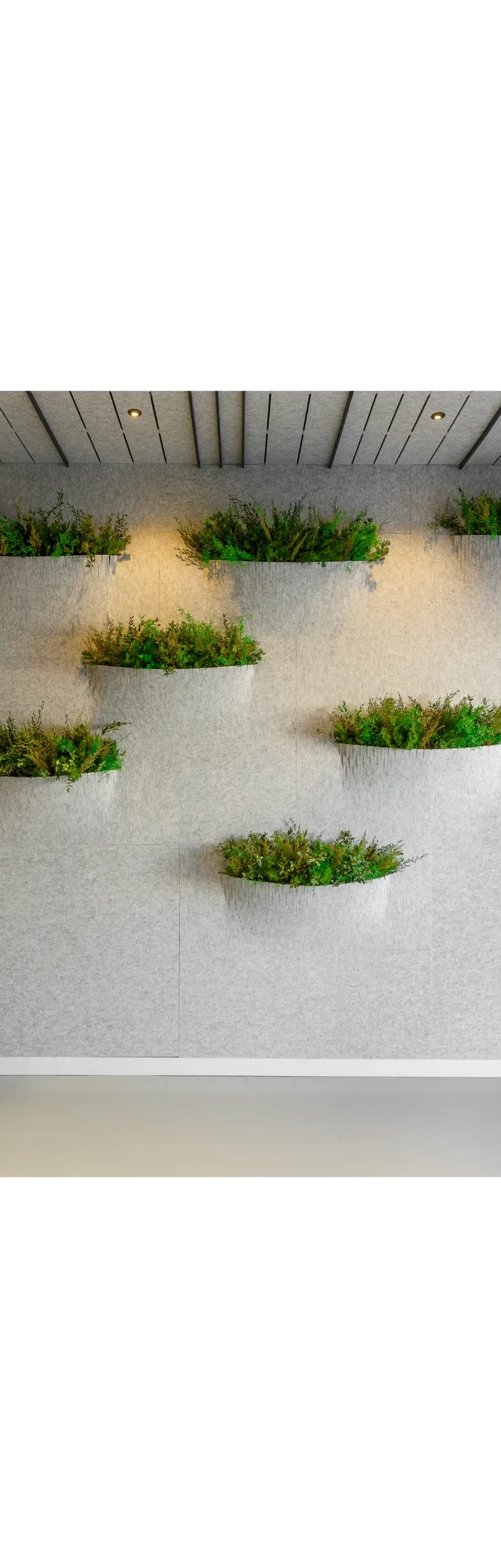 OtoGreen