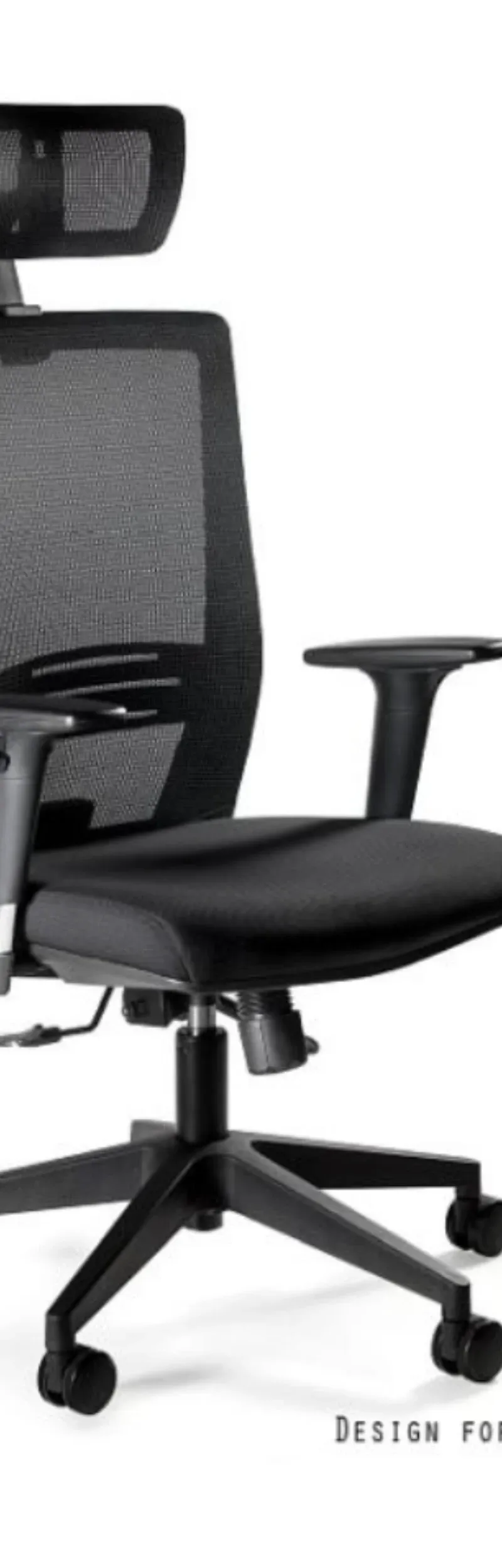 Ergonic