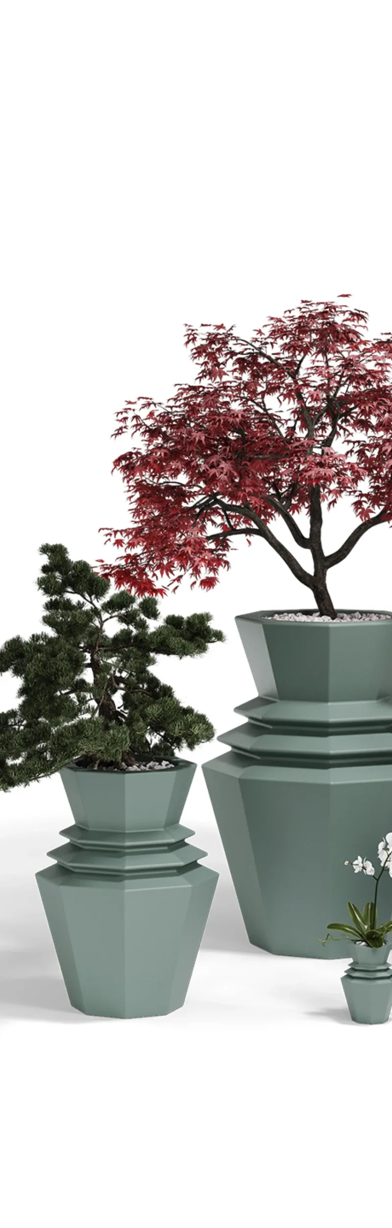Hinoki